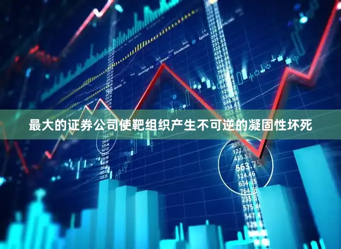 最大的证券公司使靶组织产生不可逆的凝固性坏死