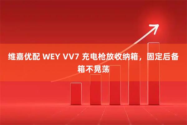 维嘉优配 WEY VV7 充电枪放收纳箱，固定后备箱不晃荡